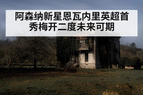 阿森纳新星恩瓦内里英超首秀梅开二度未来可期